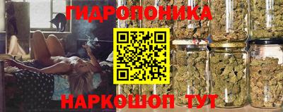 герыч Новодвинск